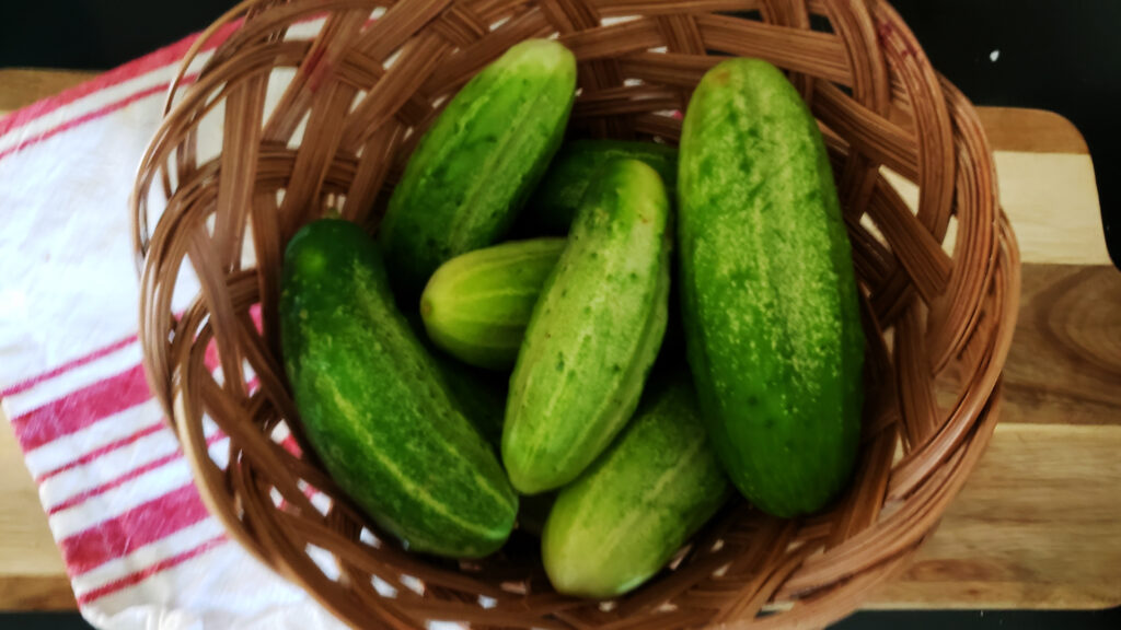 preserving, pickling, cucumbers
