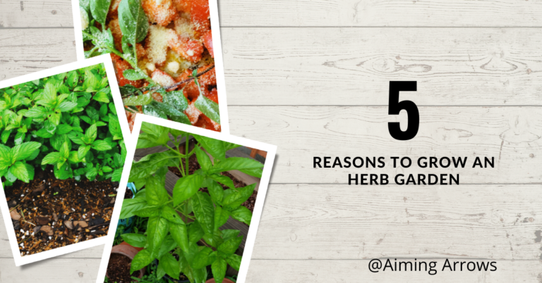 5 Reasons to Grow an Herb Garden