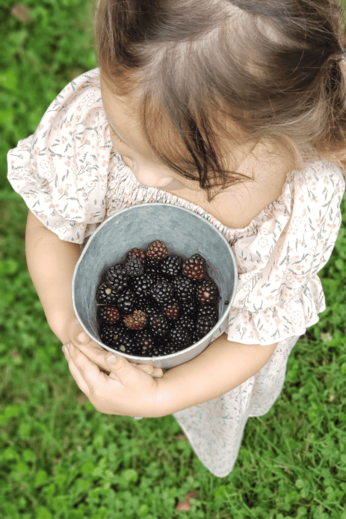 little girl holding a bucket of blackberries
