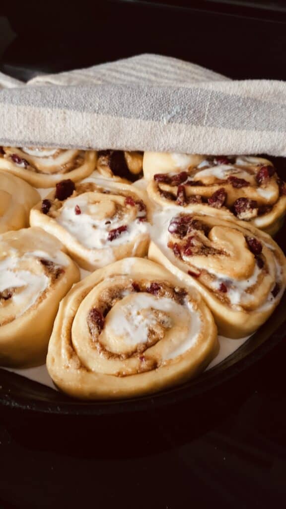 cranberry and orange sweet roll dough